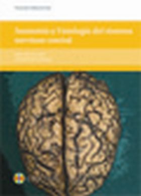 Anatomía y fisiología del sistema nervioso central