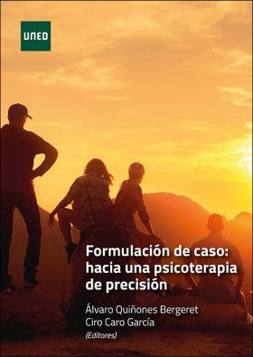 Formulación de caso: hacia una psicoterapia de precisión