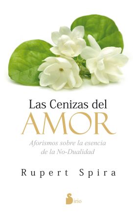 CENIZAS DEL AMOR - EBOOK -