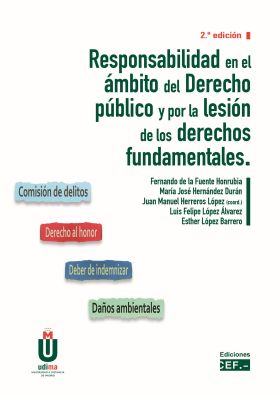 Responsabilidad en el ámbito del derecho público por la lesión de los derechos f