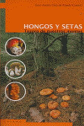 HONGOS Y SETAS. TESORO DE NUESTROS MONTES
