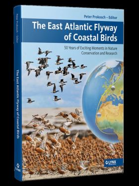 THE EAST ATLANTIC FLYWAY OF COASTAL BIRDS