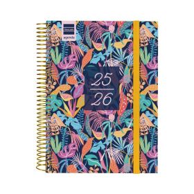 SEC.1/4 1DP 25-26 TROPICAL+
