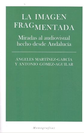 LA IMAGEN FRAGMENTADA