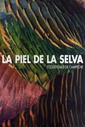 LA PIEL DE LA SELVA. ECOSISTEMAS DE CAMPECHE