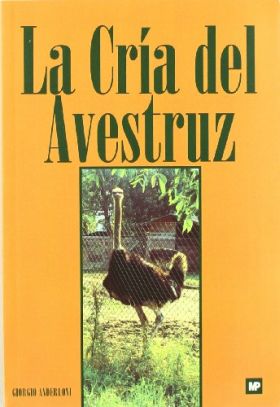 La cría del avestruz