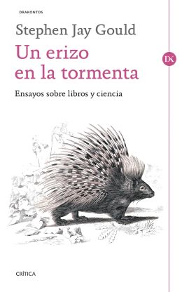 Un erizo en la tormenta