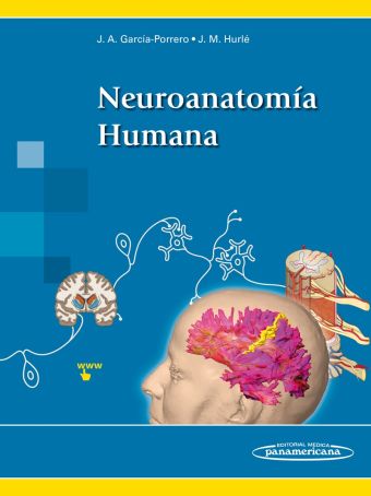 NEUROANATOMÍA HUMANA (VERSIÓN DÚO)