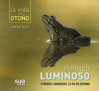Pirineo luminoso