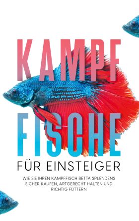 KAMPFFISCHE FÜR EINSTEIGER: WIE SIE IHREN KAMPFFISCH BETTA SPLENDENS SICHER KAUF