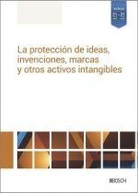 PROTECCION DE IDEAS, INVENCIONES, MARCAS Y OTROS ACTIVOS INTANGIBLES, LA