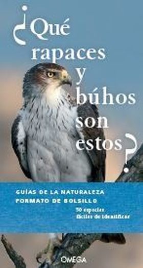 QUE RAPACES Y BUHOS SON ESTOS