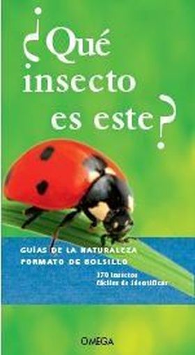 QUE INSECTO ES ESTE