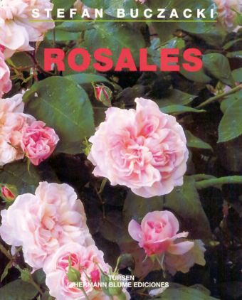 ROSALES