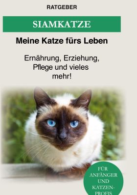 SIAM KATZE