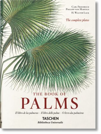 Martius. The Book of Palms