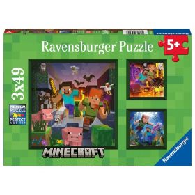MINECRAFT BIOMES