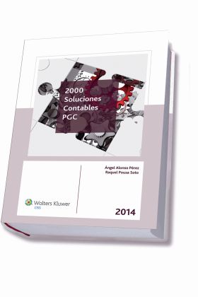 2000 SOLUCIONES CONTABLES PGC 2014