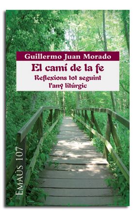 CAMI DE LA FE, EL. REFLEXIONS TOT SEGUINT LANY LITURGIC