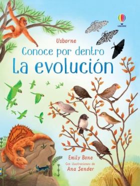 LA EVOLUCION