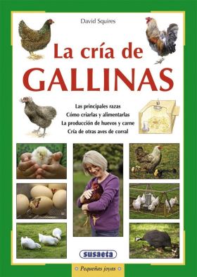 CRIA DE GALLINAS