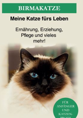 BIRMA KATZE