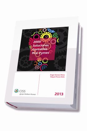 2000 SOLUCIONES CONTABLES PGC PYMES 2013