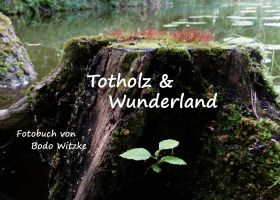 TOTHOLZ & WUNDERLAND