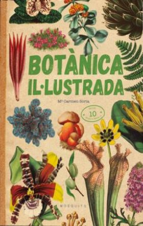 BOTANICA IL·LUSTRADA