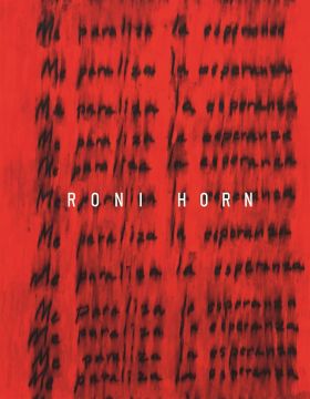 RONI HORN