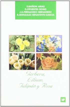 Gerbera , lilium, tulipán y rosa