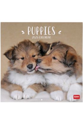 WALL CALENDAR - 2025 WALL CALENDAR - PUPPIES - 30X29 - DOGS LEGAMI