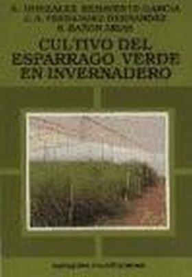 El cultivo del espárrago verde en invernadero