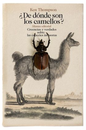 ¿DE DONDE SON LOS CAMELLOS?