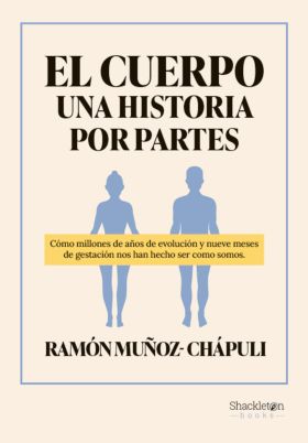 Tu cuerpo, una historia por partes