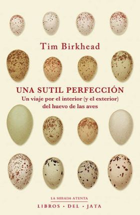 UNA SUTIL PERFECCION