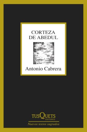 CORTEZA DE ABEDUL