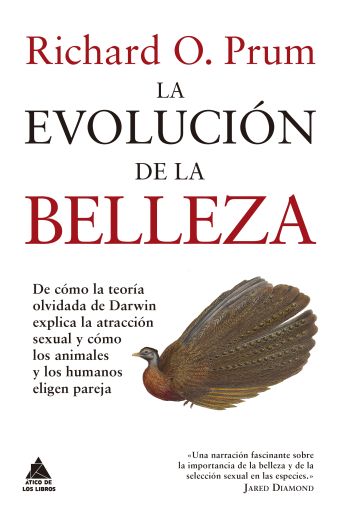 LA EVOLUCION DE LA BELLEZA