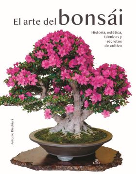 EL ARTE DEL BONSAI