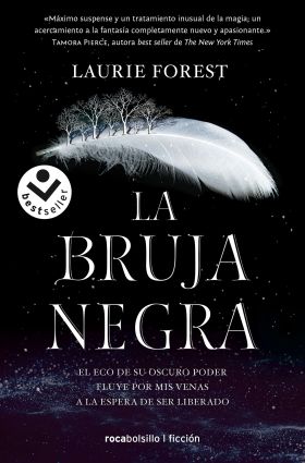 LA BRUJA NEGRA (LAS CRÓNICAS DE LA BRUJA NEGRA 1)