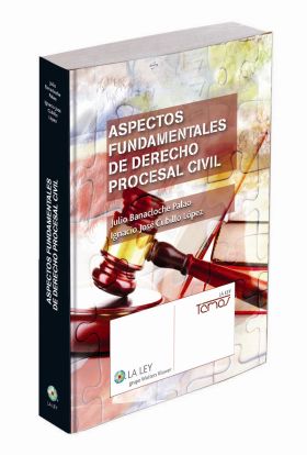 Aspectos fundamentales de Derecho procesal civil