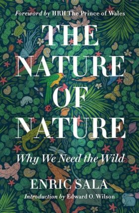 THE NATURE OF NATURE
