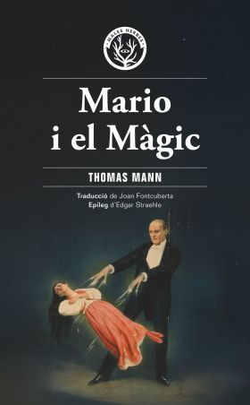 MARIO I EL MAGIC