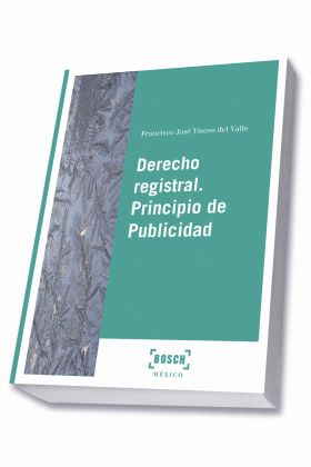 DERECHO REGISTRAL. PRINCIPIO DE PUBLICIDAD