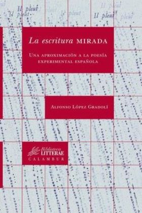 ESCRITURA MIRADA, LA