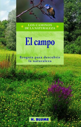 El campo