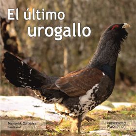 EL ÚLTIMO UROGALLO